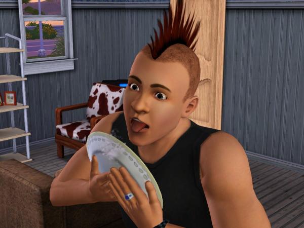 Micville Sims 2 und Sims 3